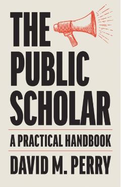 The Public Scholar: A Practical Handbook - David M. Perry