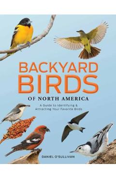 Backyard Birds of North America: A Guide to Identifying and Attracting Your Favorite Birds - Daniel O'sullivan