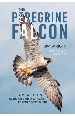 The Peregrine Falcon: The Epic Life and Times of the World's Fastest Creature - Jim Wright