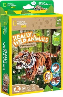 Puzzle 3D. Tigru Siberian