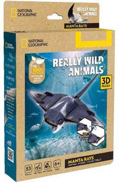 Puzzle 3D. Pisica de mare