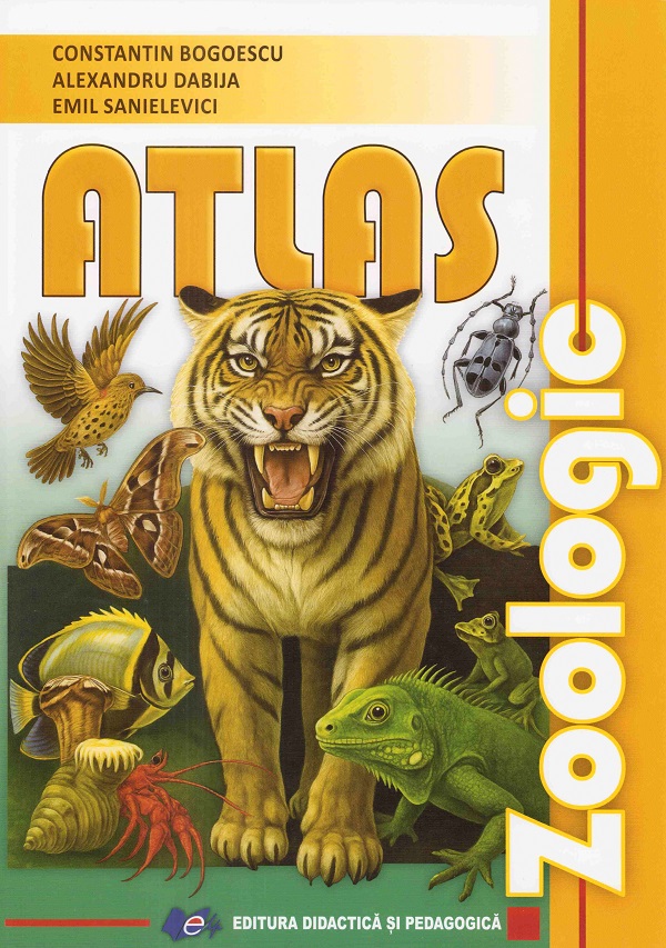 National Geographic ScienceG2絵本36冊 日経ナショナル ジオグラフィック ナショナル ジオグラフィック日本版