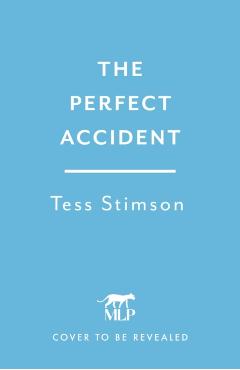 Perfect Accident - Tess Stimson