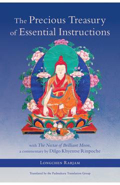 The Precious Treasury of Essential Instructions: Explanations on the Treasury of Essential Instructions of Gyalwa Longchen Rabjam -