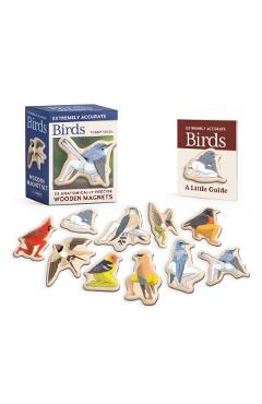 Extremely Accurate Birds Wooden Magnet Set: 10 Anatomically Precise Magnets - Tommy Siegel