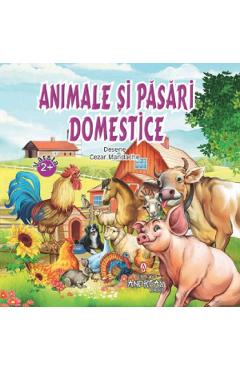 Animale si pasari domestice