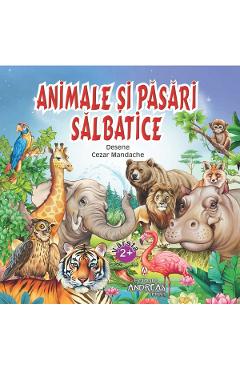 Animale si pasari salbatice - ANDREAS Animale si pasari salbatice - ANDREAS