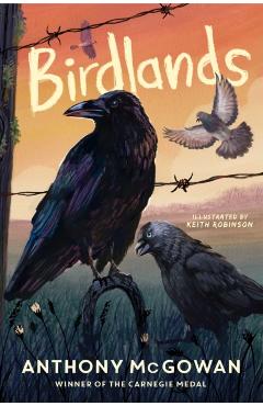 Birdlands - Anthony Mcgowan