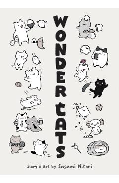 Wonder Cats - Sasami Nitori