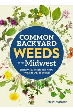 Common Backyard Weeds of the Midwest: Identify 157 Weeds and Know What to Pull or Protect - Teresa Marrone