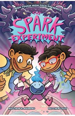 The Spark Experiment - Matthew K. Manning