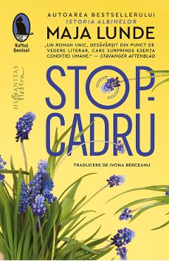 Stop-cadru