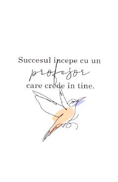 Felicitare cadou pentru profesori: Felicitare Best Teacher