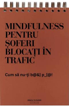 Jurnal pentru prieteni: Meditatii din trafic