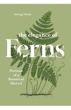 The Elegance of Ferns: Portrait of a Botanical Marvel - Solvejg Nitzke