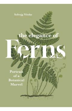The Elegance of Ferns: Portrait of a Botanical Marvel - Solvejg Nitzke