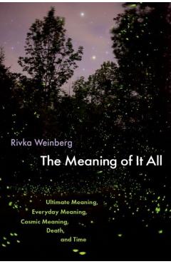 The Meaning of It All: Ultimate Meaning, Everyday Meaning, Cosmic Meaning, Death, and Time - Rivka Weinberg