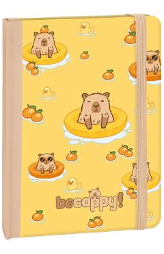 Aceasta este imaginea corespunzatoare acestui obiect