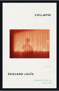 Collapse - Édouard Louis