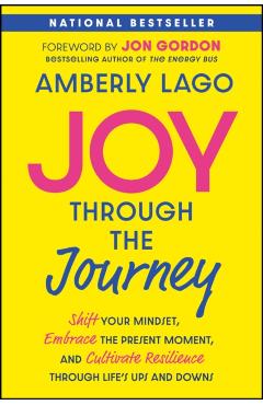 Joy Through the Journey: Shift Your Mindset, Embrace the Present Moment, and Cultivate Resilience Through Life's Ups and Downs - Amberly Lago