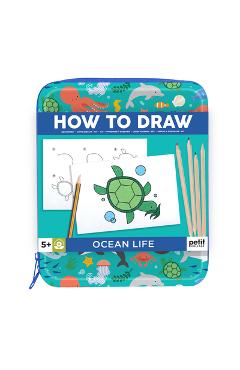How to Draw Ocean Life -