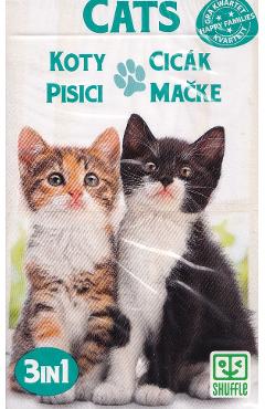 Joc de carti 3 in 1: Cats