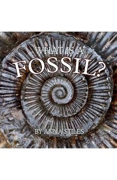 What is a Fossil? - Anna Stiles