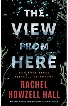 The View from Here: A Thriller - Rachel Howzell Hall