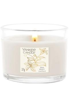 Aceasta este imaginea corespunzatoare acestui obiect