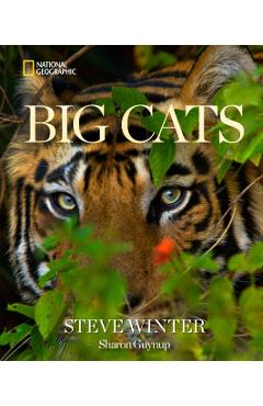 Big Cats - Steve Winter