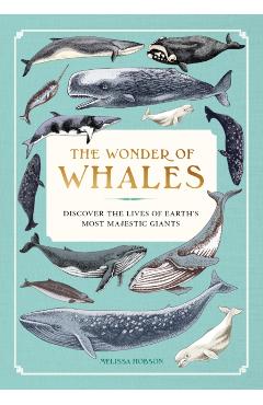 Wonder of Whales - Melissa Hobson