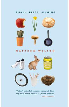 Small Birds Singing - Matthew Welton - Imagine 1