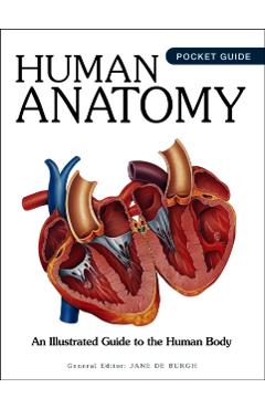 Human Anatomy - - Imagine 1