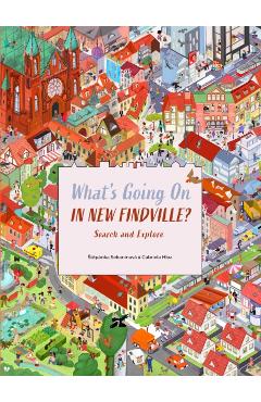 What's Going on in New Findville? - Stepanka Sekaninova