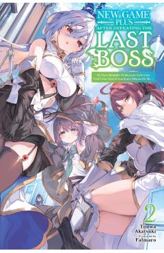New Game Plus After Defeating the Last Boss, Vol. 2 (Light Novel): All These Beautiful, Problematic Girls in the First Town Have Gotten Really Attache - Touwa Akatsuki