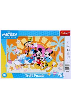 Puzzle 15. Intrebari despre Mickey Mouse