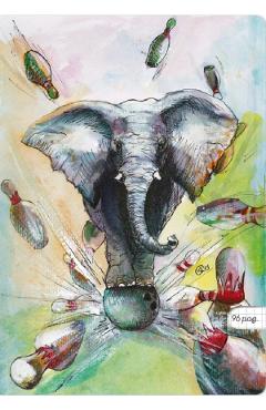 Set 3 caiete A4 matematica: Elefantul popicar