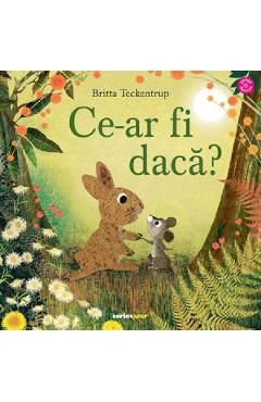 Ce-ar fi daca? - Britta Teckentrup - CORINT Ce-ar fi daca? - Britta Teckentrup - CORINT
