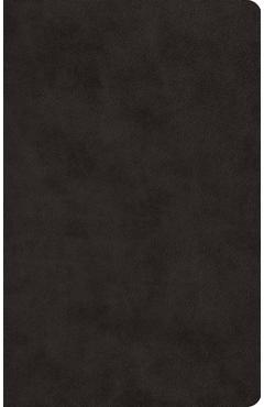 ESV Large Print Value Thinline Bible (Trutone, Black) -