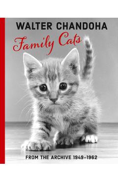 Walter Chandoha: Family Cats: From the Archive 1949-1968 - Walter Chandoha