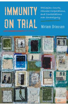Immunity on Trial: Ethiopian Courts, Chinese Corporations, and Contestations Over Sovereignty - Miriam Driessen