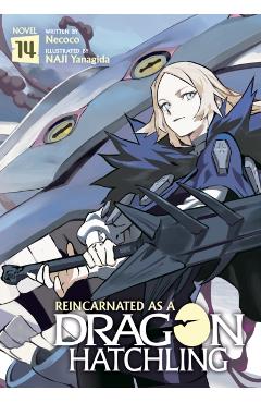 Reincarnated as a Dragon Hatchling (Light Novel) Vol. 14 -