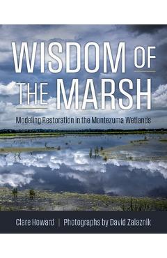 Wisdom of the Marsh: Modeling Restoration in the Montezuma Wetlands - Clare Howard
