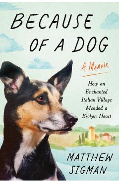 Because of a Dog: How an Enchanted Italian Village Mended a Broken Heart - Matthew Sigman