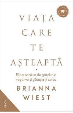 eBook Viata care te asteapta - Brianna Wiest