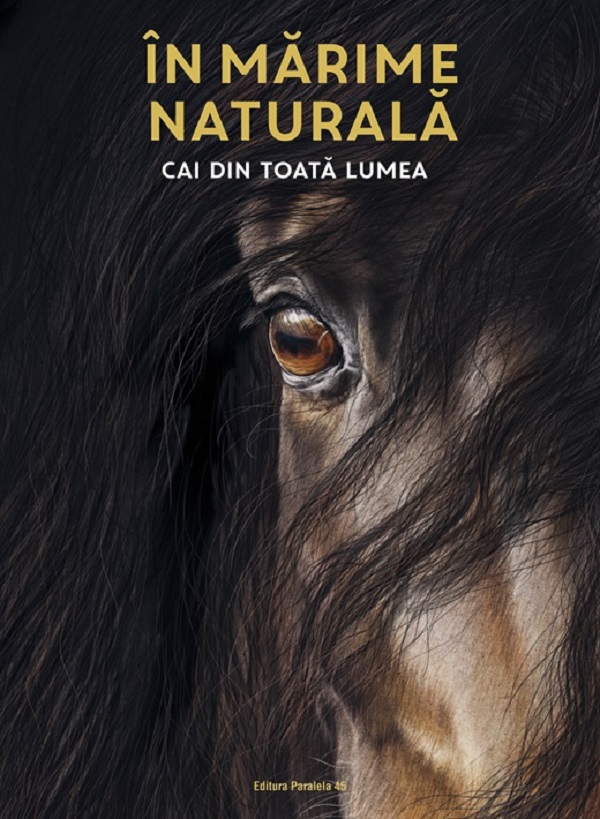 CLIMB THE MIND　DE naturization CD În mărime naturală. Cai din toată lumea - Susan Niessen | Libris.ro