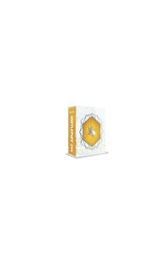 Harry Potter: Hufflepuff (Tiny Book)
