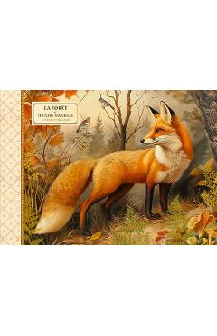 Carnetel ilustrat: Foret Renard