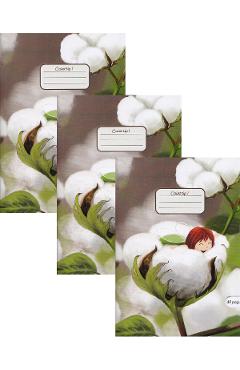 Set 3 caiete A5 Tip 1. Cotton Soft
