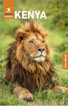 Rough Guides Kenya: Travel Guide with eBook - Rough Guides